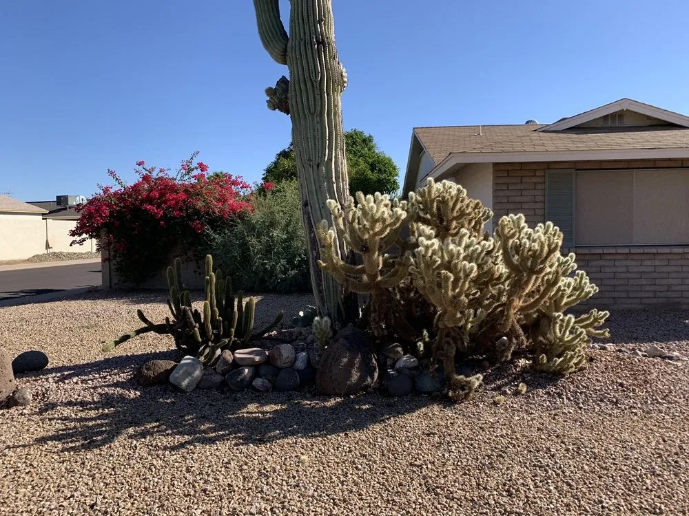 Reliable outdoor landscaping in Tempe, AZ - EZ Breezy LawnCare