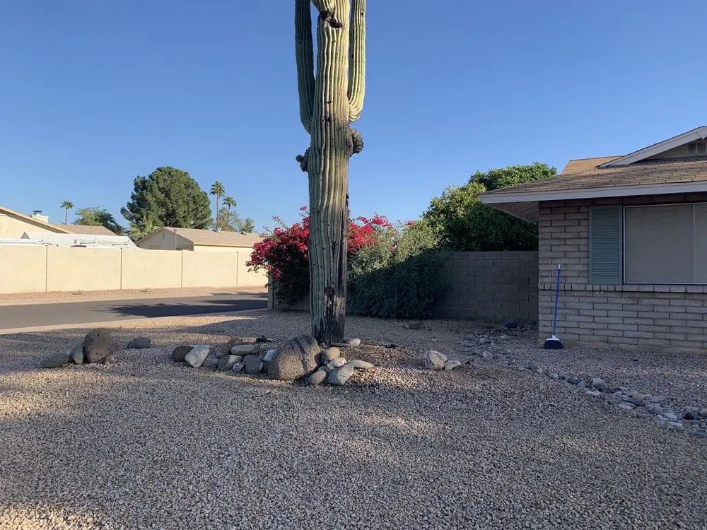 Reliable landscaping services in Tempe, AZ by EZ Breezy LawnCare