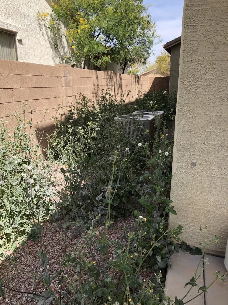 Top-rated outdoor landscaping experts serving Tempe, AZ - EZ Breezy LawnCare