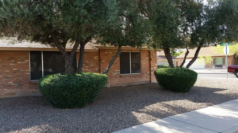 Top-rated outdoor landscaping experts serving Tempe, AZ - EZ Breezy LawnCare