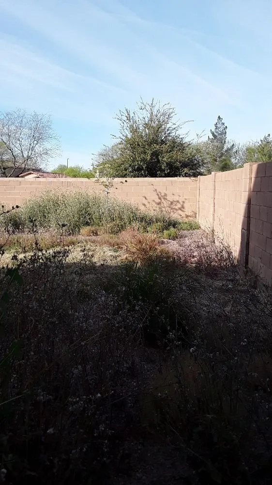Trusted yard cleanup service with custom design in Tempe, AZ by EZ Breezy LawnCare