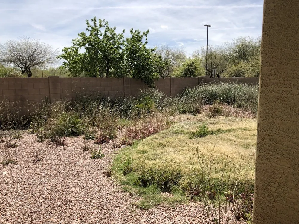 Reliable landscape installation in Tempe, AZ by EZ Breezy LawnCare