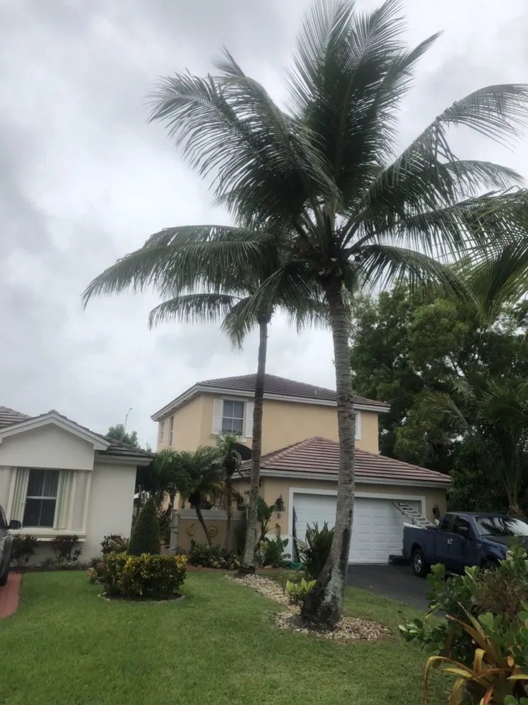 Top-rated landscape design in West Park, FL by Ez Breezy Tree And Landscaping