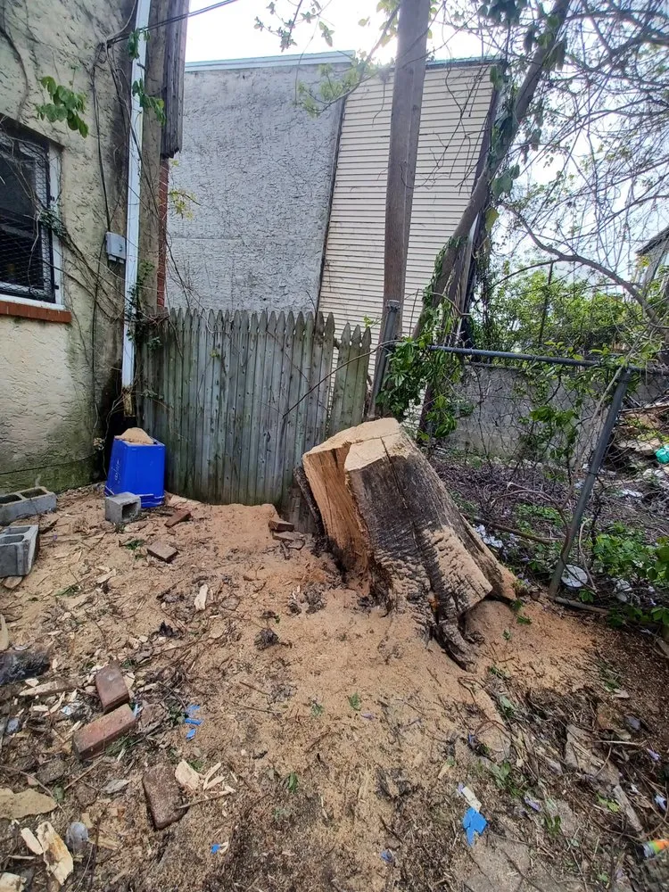 Local garden landscaping in Philadelphia, PA by EZ Cleaning