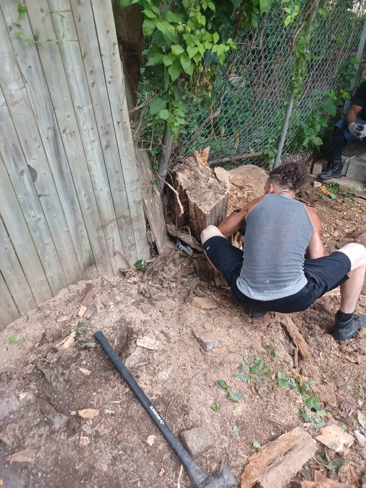 Affordable residential landscaping in Philadelphia, PA - EZ Cleaning