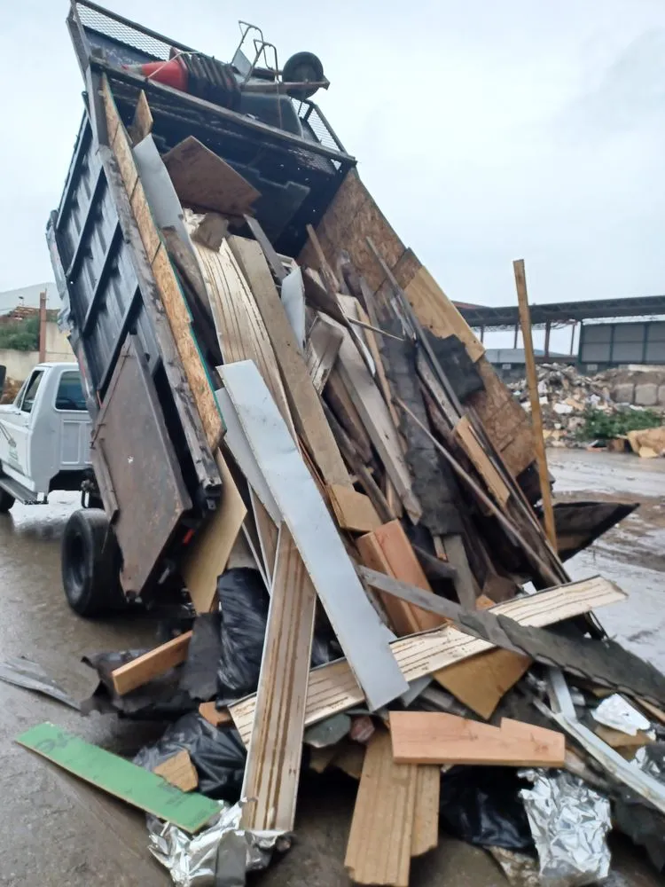 Top-rated landscaping services for year-round maintenance in Philadelphia, PA by EZ Cleaning