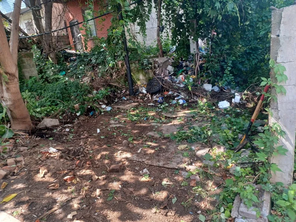 Trusted landscaping services for homes across Philadelphia, PA - EZ Cleaning