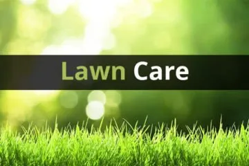 Trusted landscaping services in Conyers, GA - Ez Cuts Lawncare