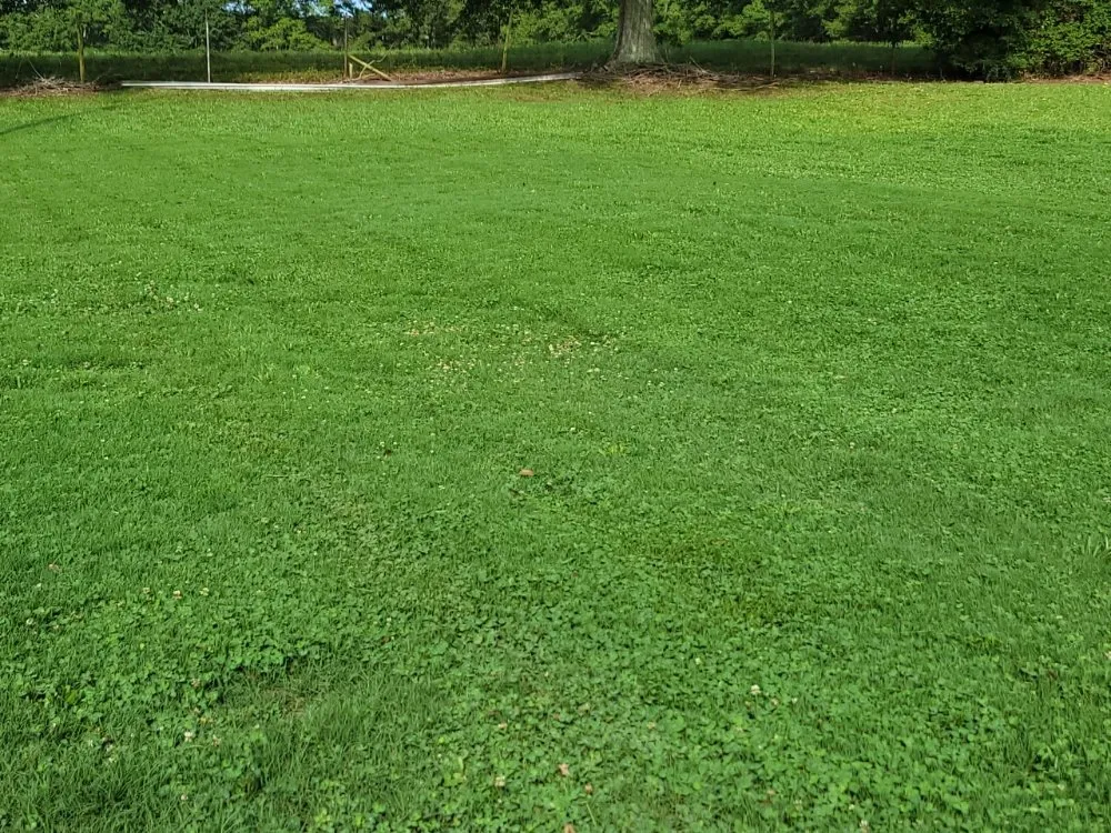 Reliable lawn mowing service near you across Conyers, GA - Ez Cuts Lawncare