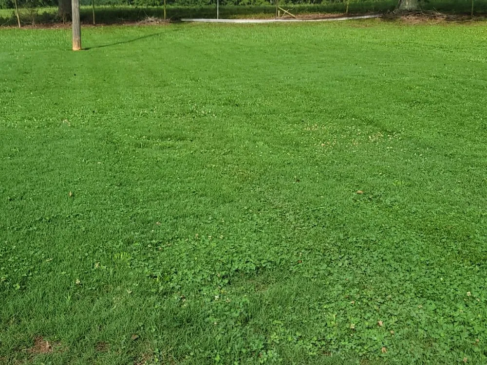 Trusted lawn mowing service in Conyers, GA by Ez Cuts Lawncare