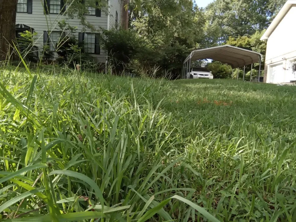 Top-rated landscaping services in Conyers, GA by Ez Cuts Lawncare