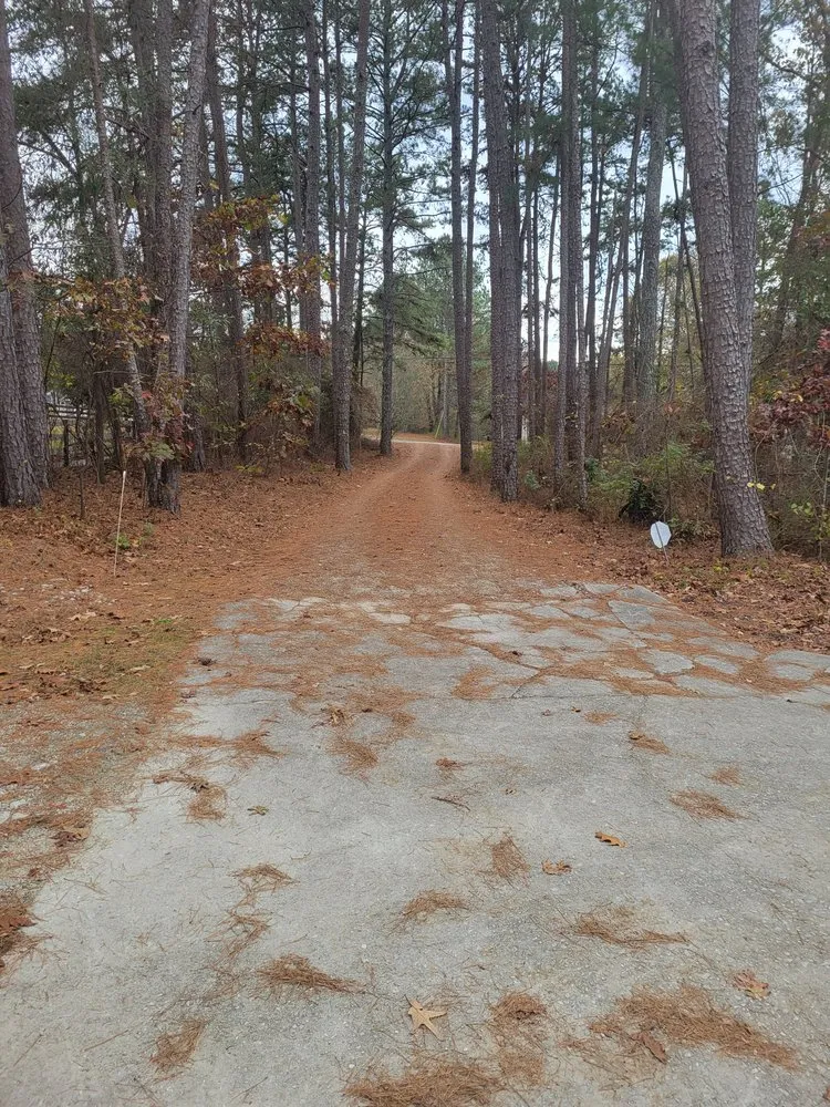 Professional residential landscaping with custom design in Conyers, GA by Ez Cuts Lawncare