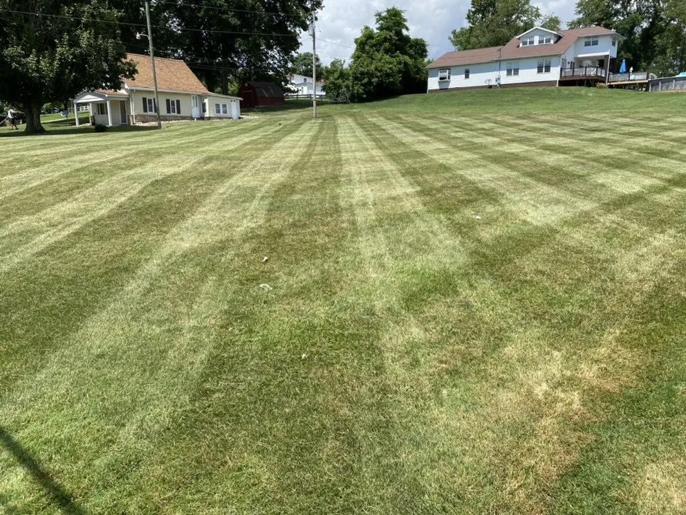 Affordable residential landscaping experts serving Carmichaels, PA - Ez Cuts Lawncare Services