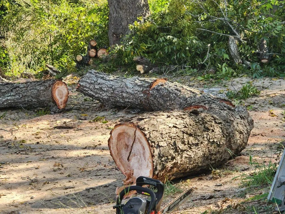 Professional garden landscaping with custom design across San Marcos, TX - Ez Does It landscape