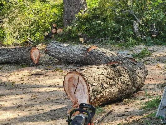 Ez Does It landscape Logo