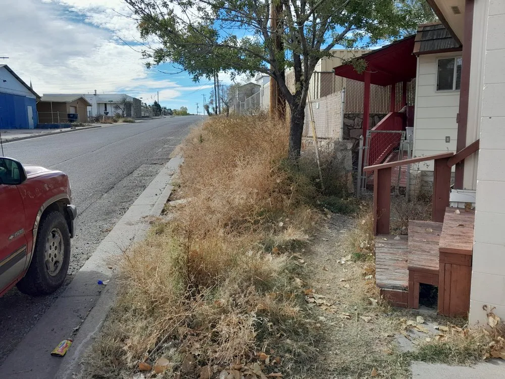 Professional landscape design with custom design across Silver City, NM - EZ Does It Lawn and More