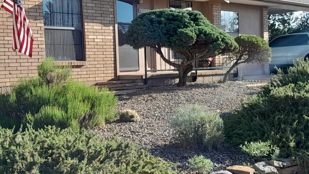 Expert landscape design in Silver City, NM - EZ Does It Lawn and More