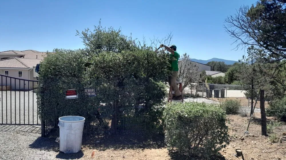 Custom yard maintenance in Silver City, NM by EZ Does It Lawn and More