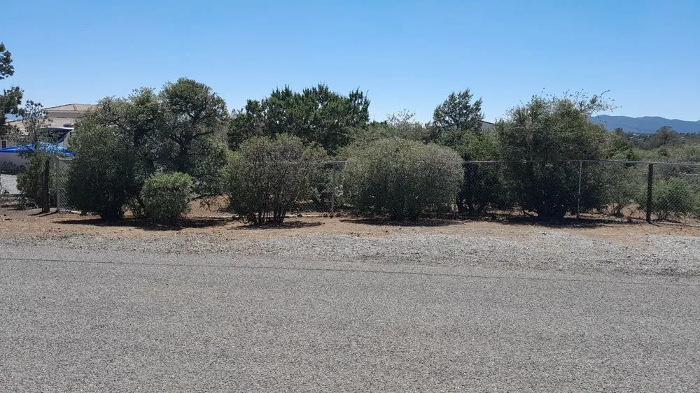 Top-rated residential landscaping in Silver City, NM by EZ Does It Lawn and More