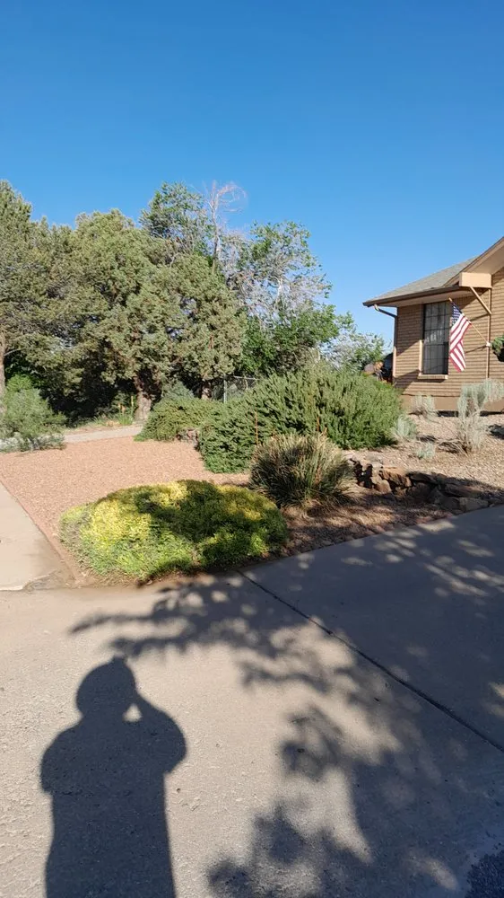 Local yard cleanup service near you in Silver City, NM by EZ Does It Lawn and More