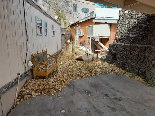 EZ Does It Lawn and More