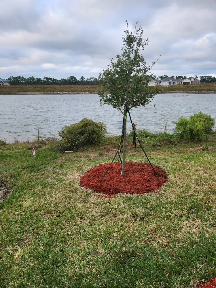 Local residential landscaping experts serving Palm Bay, FL - EZ does it lawn care