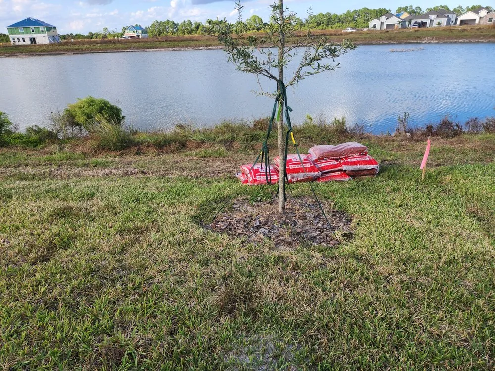 Custom garden landscaping in Palm Bay, FL by EZ does it lawn care