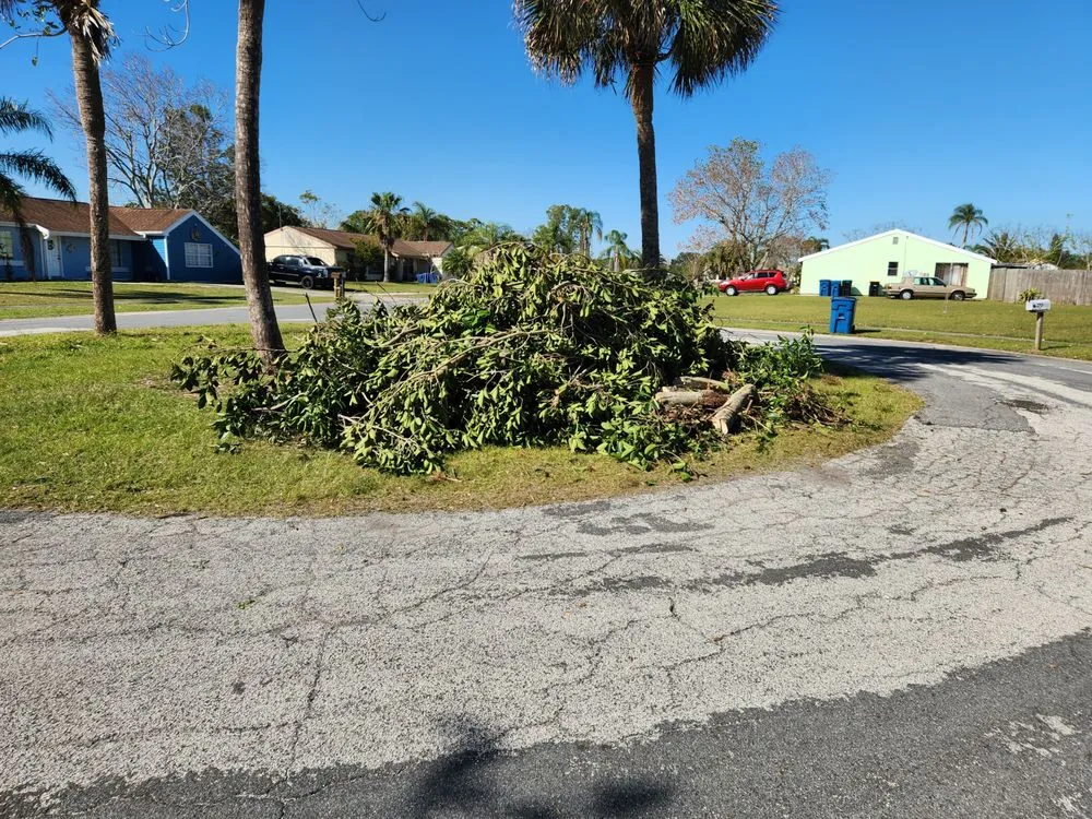 Custom landscaping services in Palm Bay, FL - EZ does it lawn care