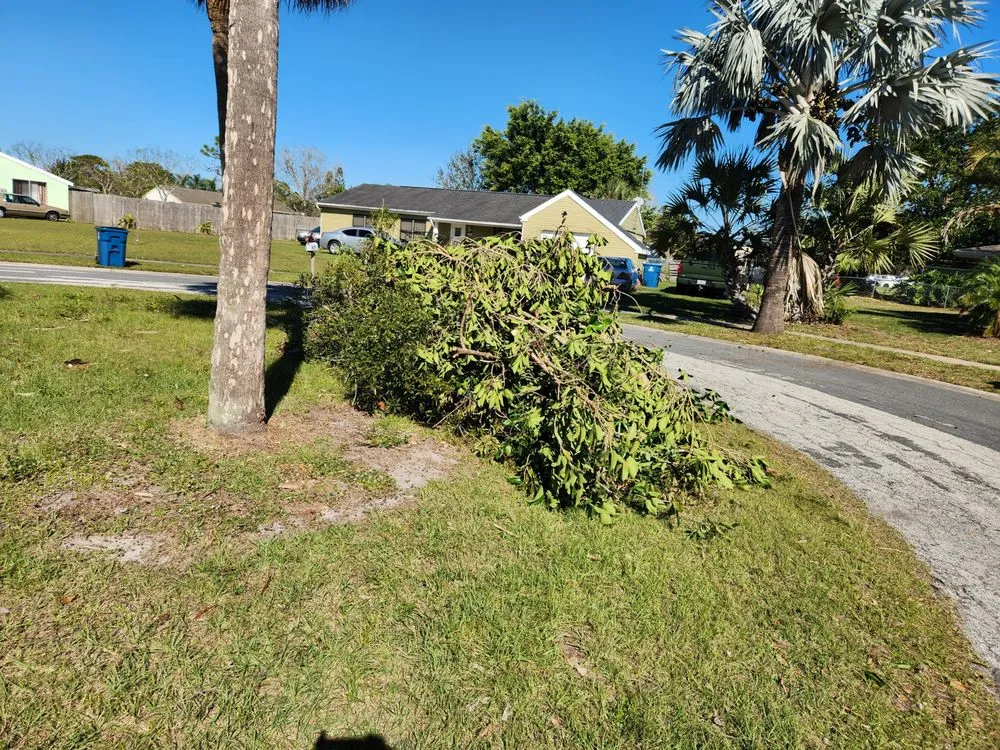 Custom garden landscaping in Palm Bay, FL - EZ does it lawn care