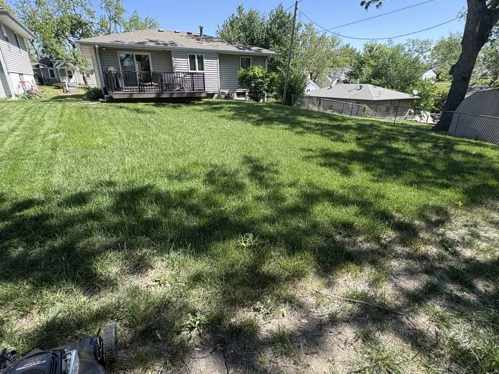 Expert lawn mowing service in Omaha, NE - EZ Does it