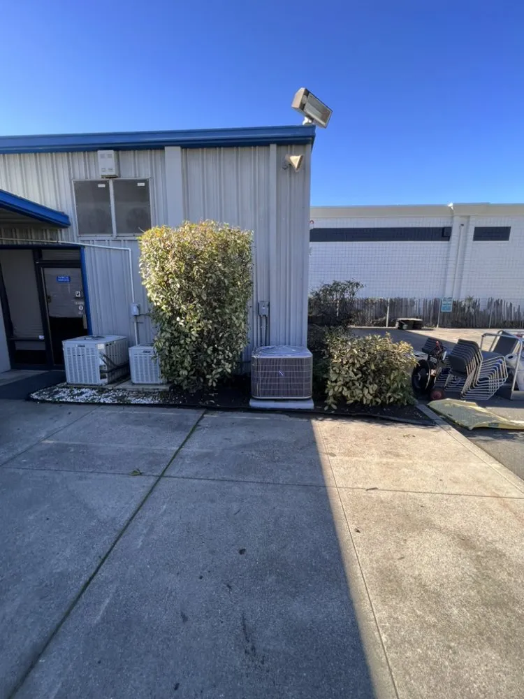 Custom lawn care service for homes in Tracy, CA by EZ Dump