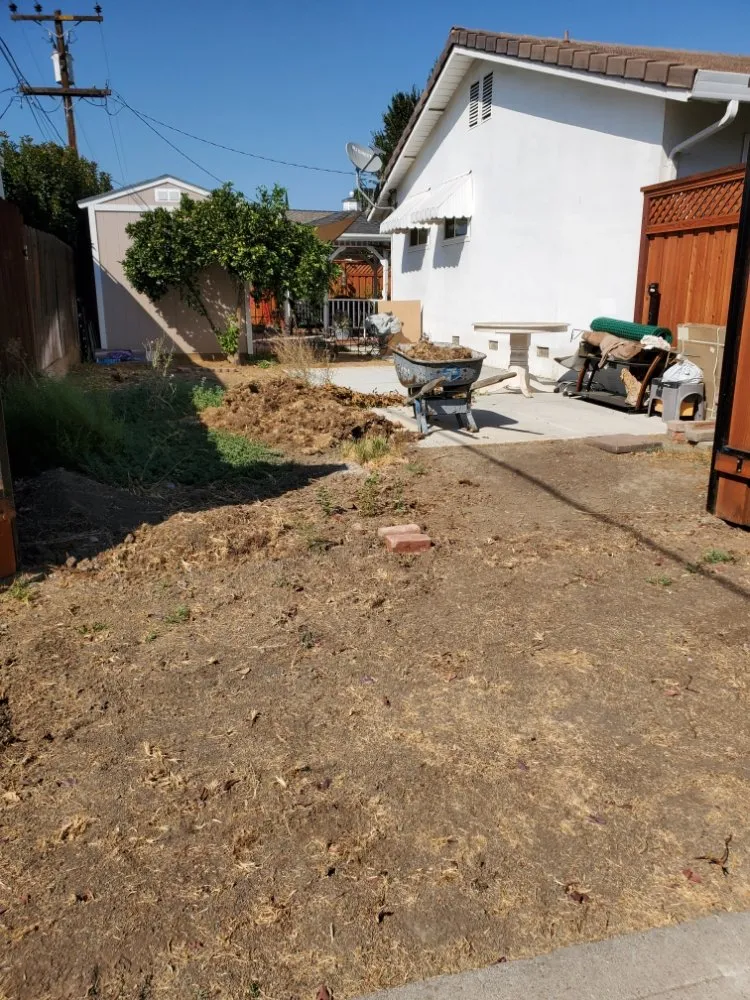 Professional yard cleanup service in Tracy, CA - EZ Dump