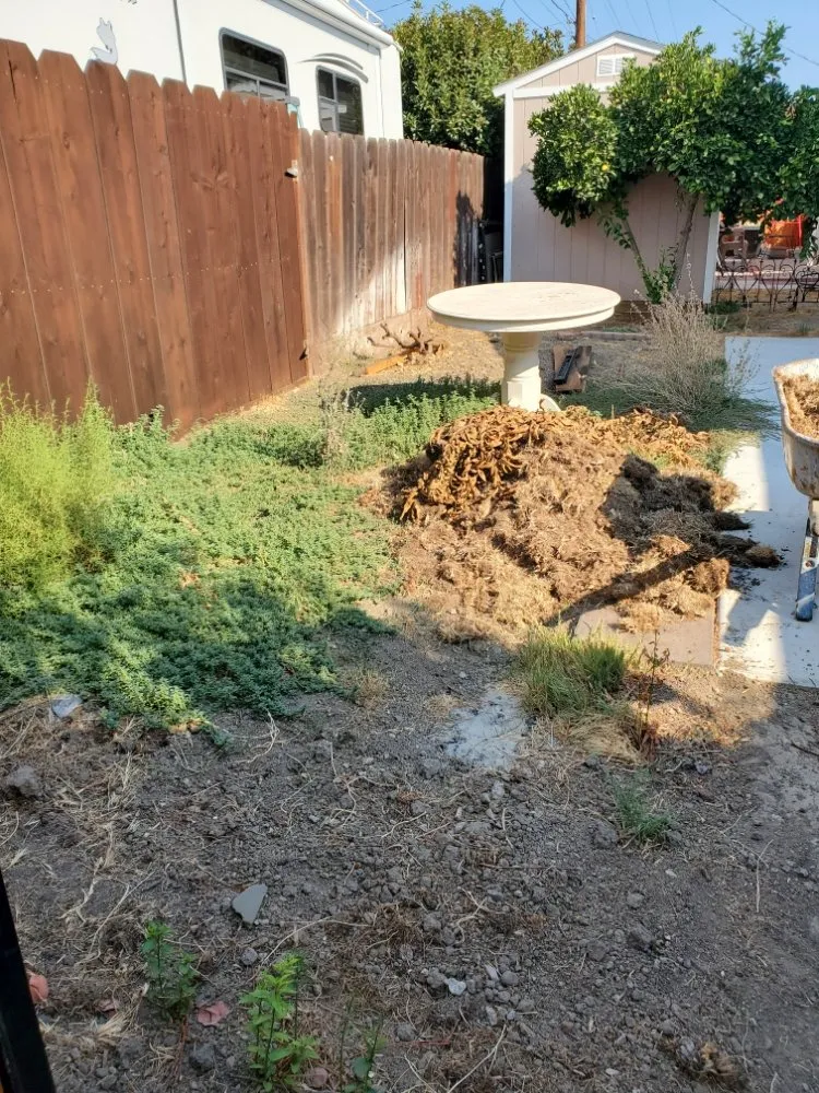 Custom yard maintenance experts serving Tracy, CA - EZ Dump