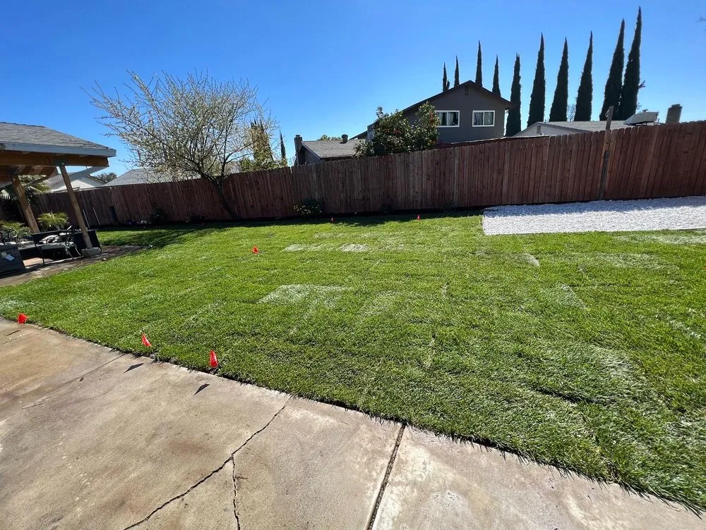 Custom outdoor landscaping in Tracy, CA - EZ Dump