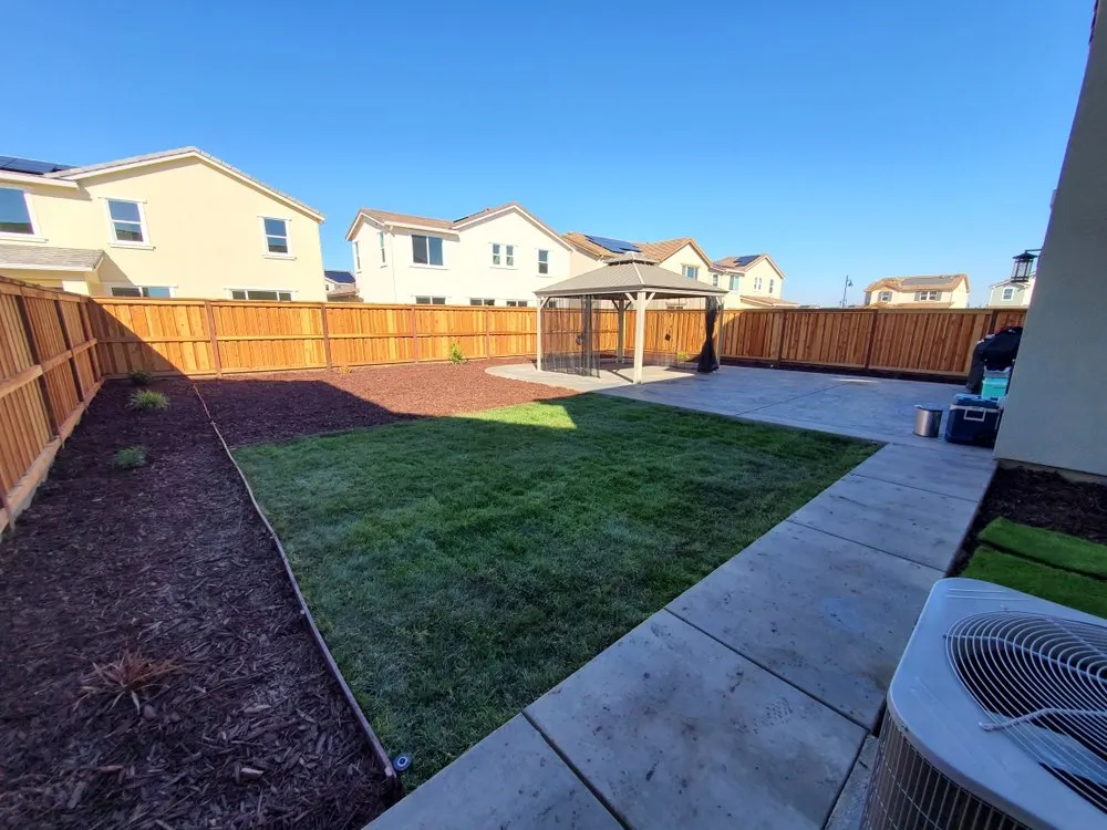 Expert yard maintenance experts serving Tracy, CA - EZ Dump