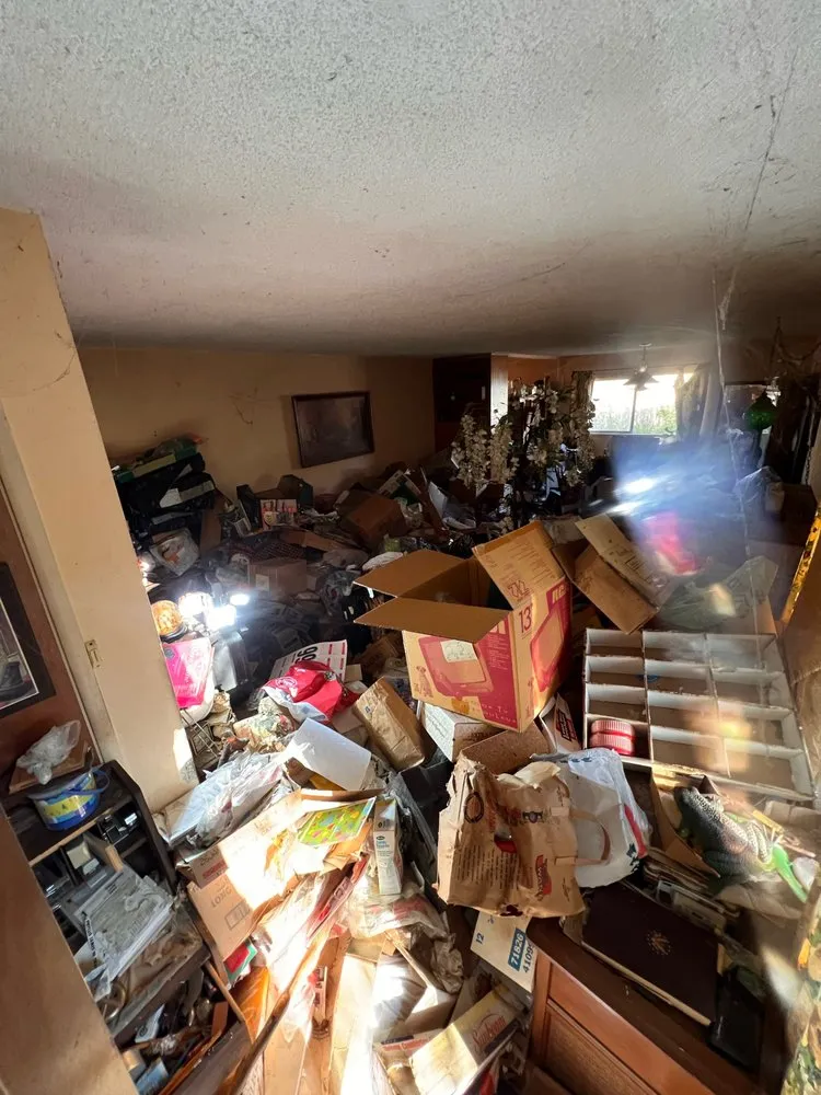 Reliable outdoor landscaping near you in Tracy, CA by EZ Dump