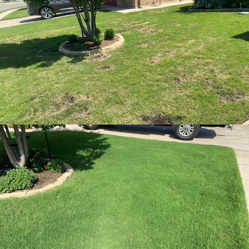 Custom lawn mowing service in Newcastle, OK - EZ-Flow Irrigation And Landscaping