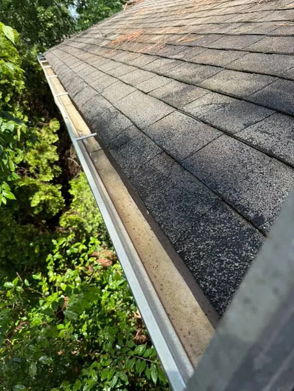 Expert residential landscaping experts serving Little Rock, AR - Ez Goin Services