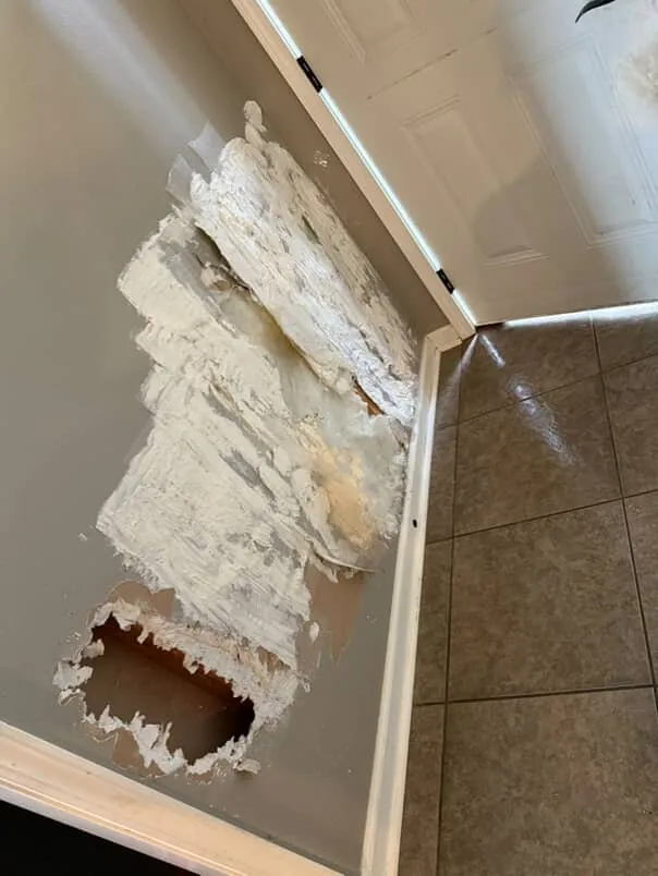 Trusted yard maintenance for beautiful yards across Little Rock, AR - Ez Goin Services