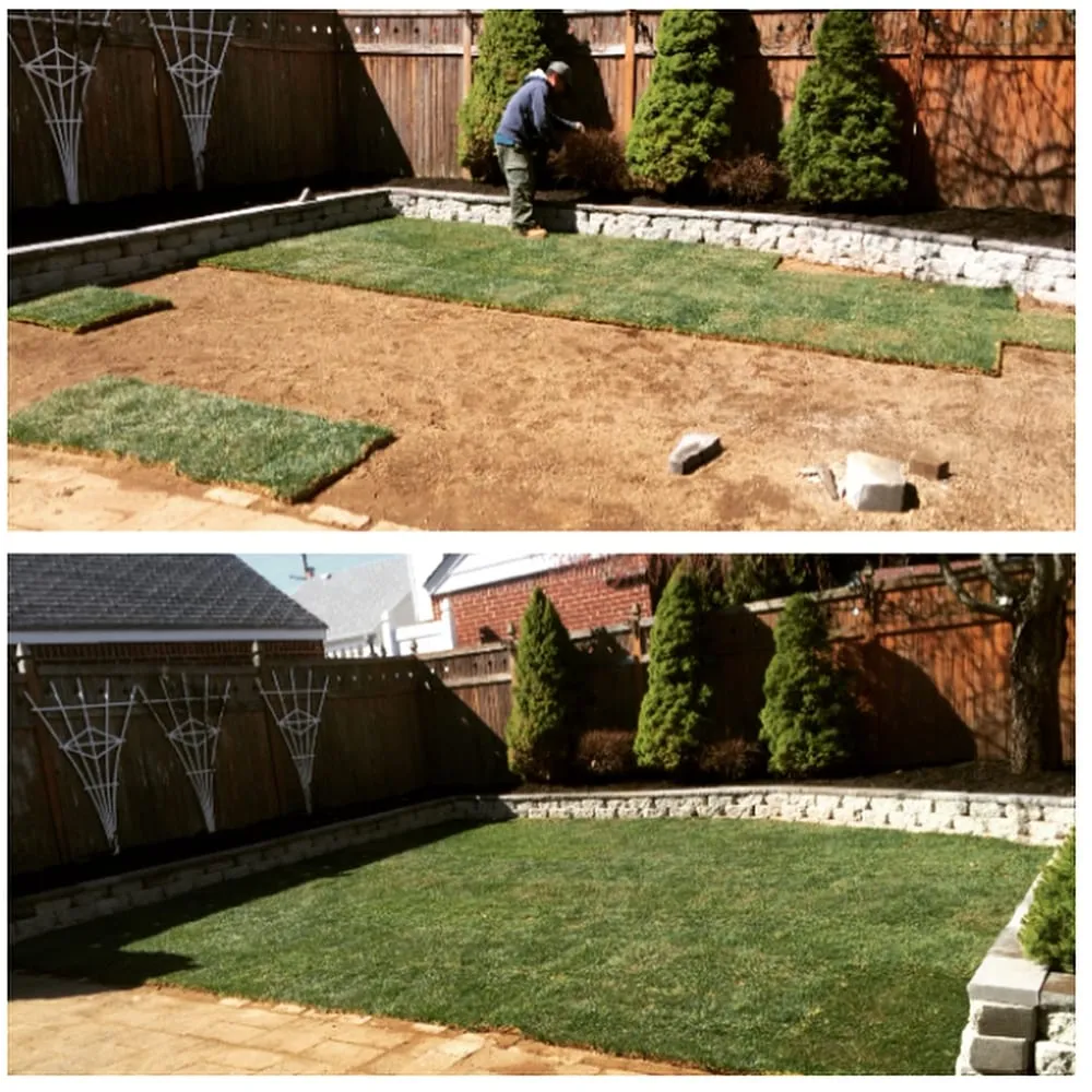Affordable yard maintenance in Great Neck, NY - EZ Green Corp