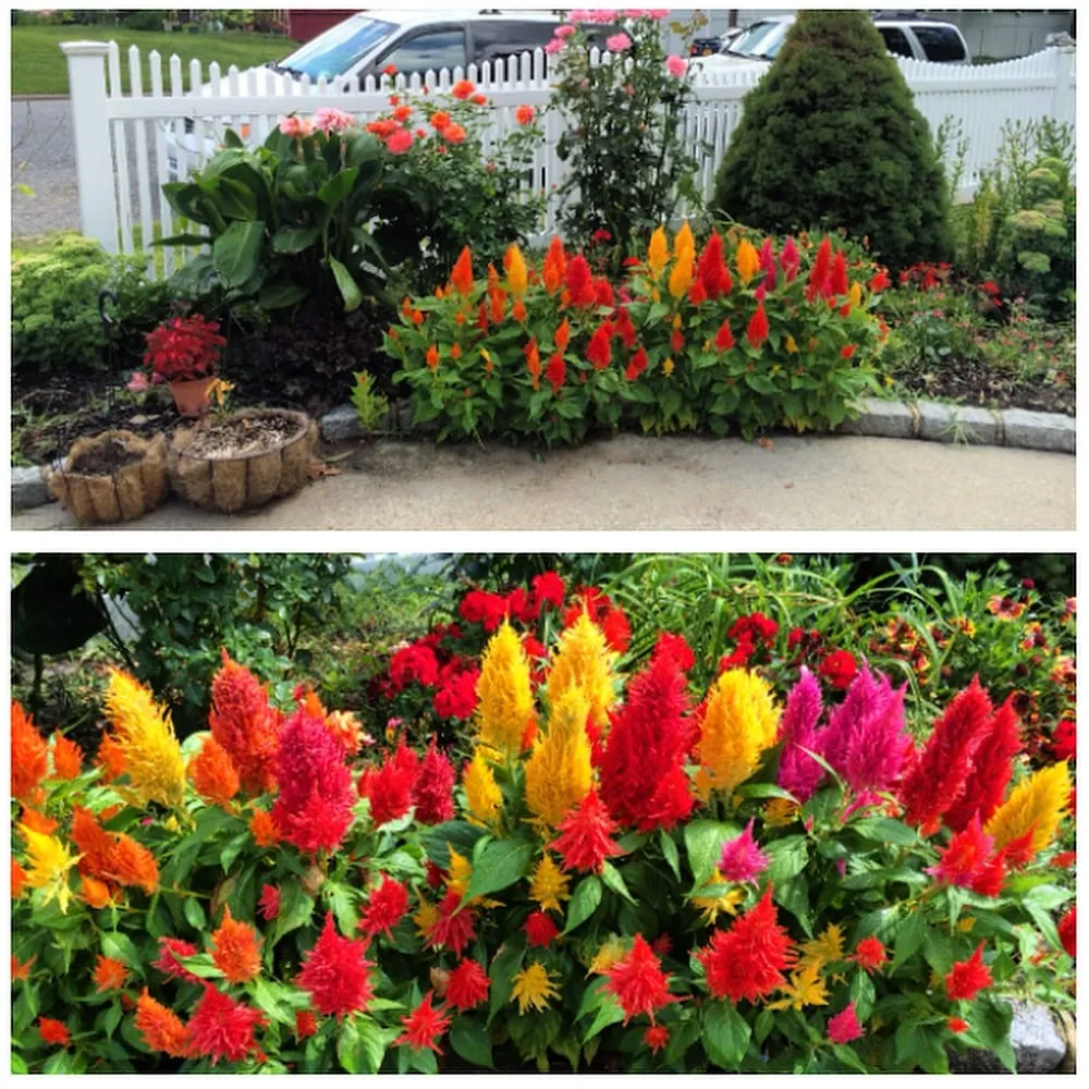 Top-rated landscape installation near you across Great Neck, NY - EZ Green Corp