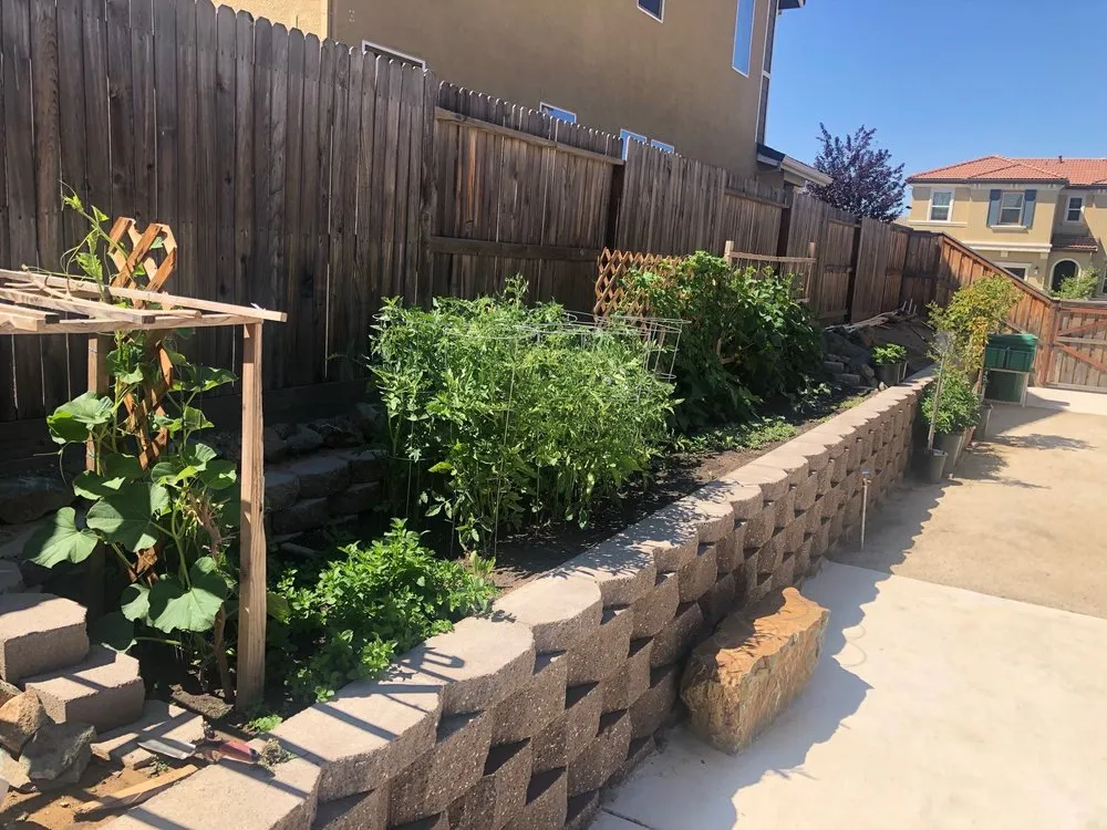 Trusted yard maintenance with custom design in Sacramento, CA by EZ Green Landscaping