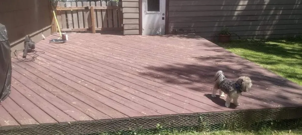 Professional outdoor landscaping for beautiful yards in Lansing, MI by EZ Innovations