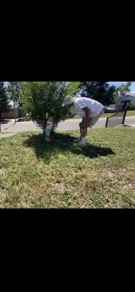 Local garden landscaping in Denver, CO by EZ Kutz