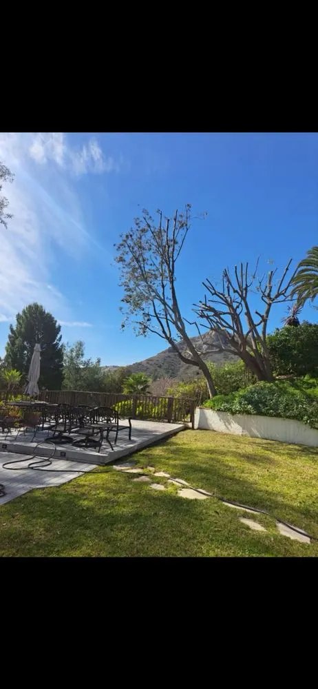 Affordable landscaping services near you in Canoga Park, CA by Ez Land and Tree Care