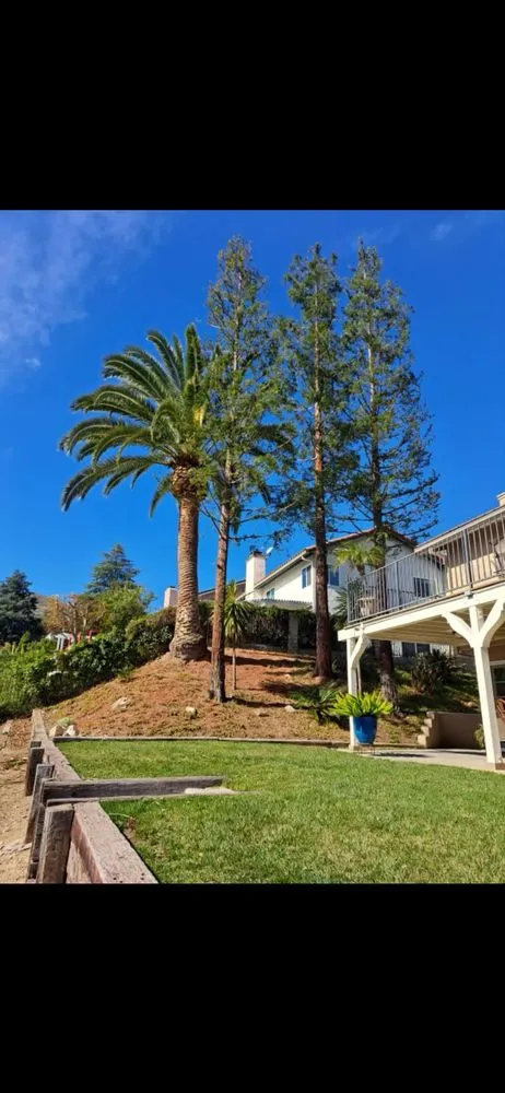 Trusted yard maintenance in Canoga Park, CA by Ez Land and Tree Care