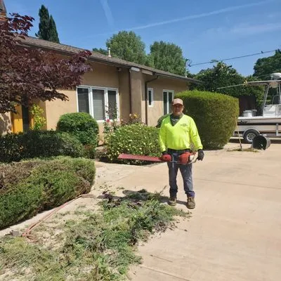 Ez Land and Tree Care