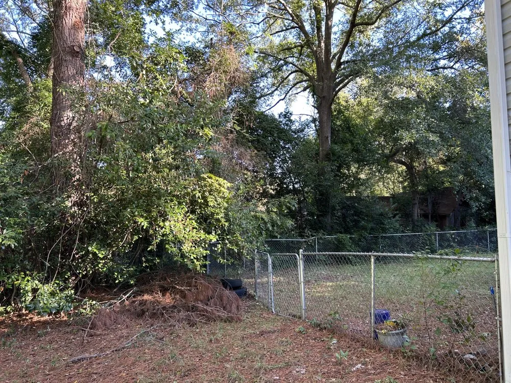 Trusted landscape installation experts serving Holly Springs, NC - EZ Land Management & Grading