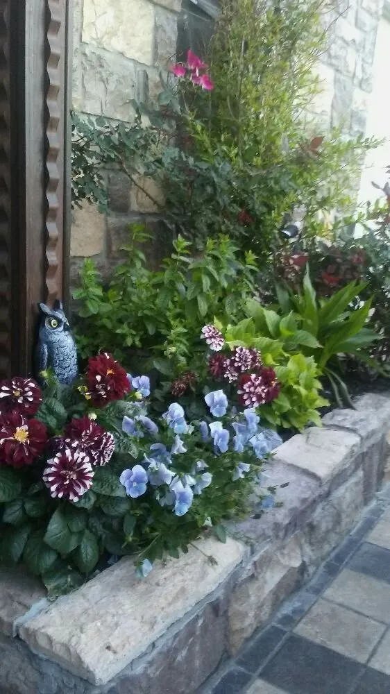 Local lawn care service for outdoor upgrades in Allen, TX by EZ Landscape & Tree Services