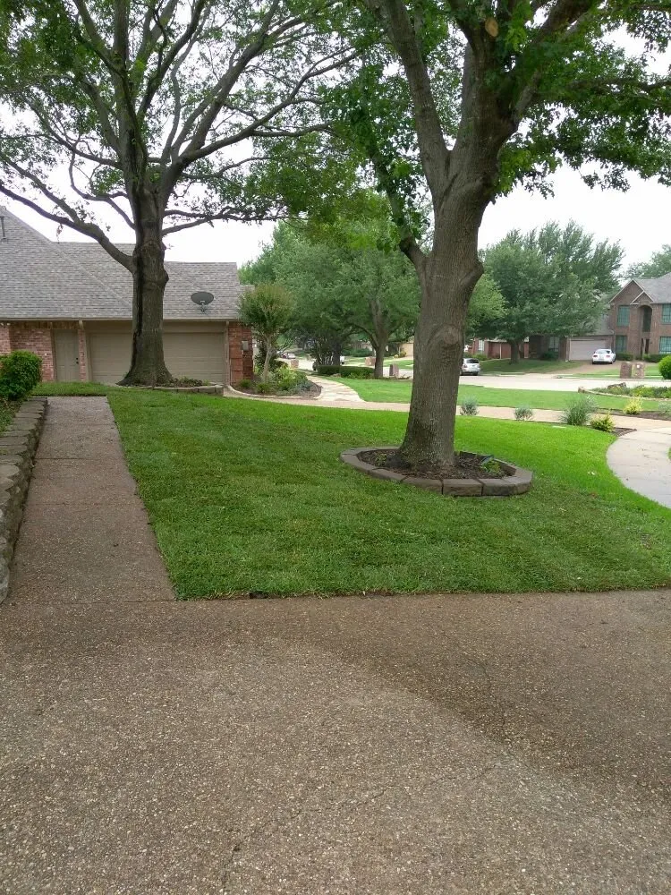 Affordable landscape design in Allen, TX - EZ Landscape & Tree Services